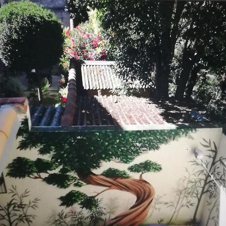 Suite Oisivete Avec Terrasse Vue Sur Patio Et Clim Montpellier Exterior photo